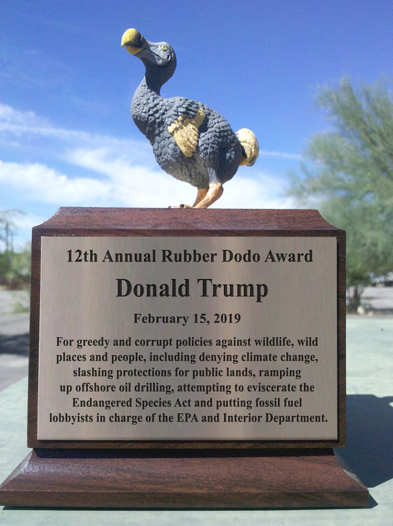 The Center for Biological Diversity’s 2018 Rubber Dodo award, given to Trump on 15 February 2019. The award reads, “For greedy and corrupt policies against wildlife, wild places, and people, including denying climate change, slashing protections for public lands, ramping up offshore oil drilling, attempting to eviscerate the Endangered Species Act, and putting fossil fuel lobbyists in charge of the EPA and Interior Department.” Photo: Center for Biological Diversity