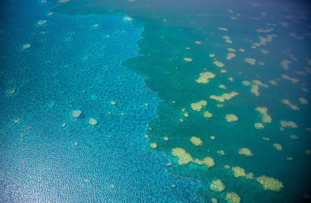 Aerial view of run-off from the 2019 floods in Australia spreading out from the coast, with the potential to smother the fragile Great Barrier Reef. Photo: Matt Curnock / Reuters