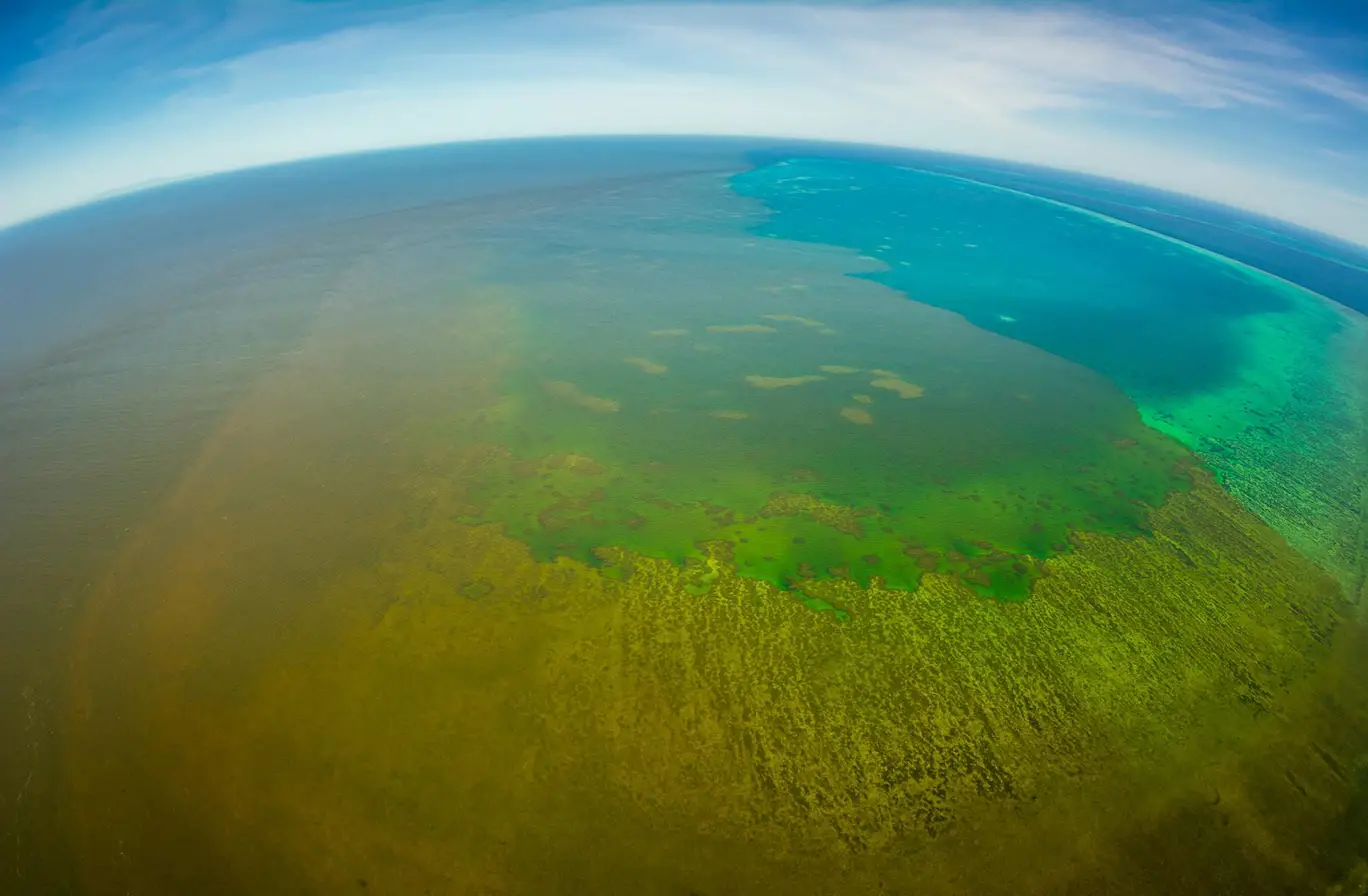 Покрытая водой часть земли. Большой Барьерный риф пейзаж сверху.
