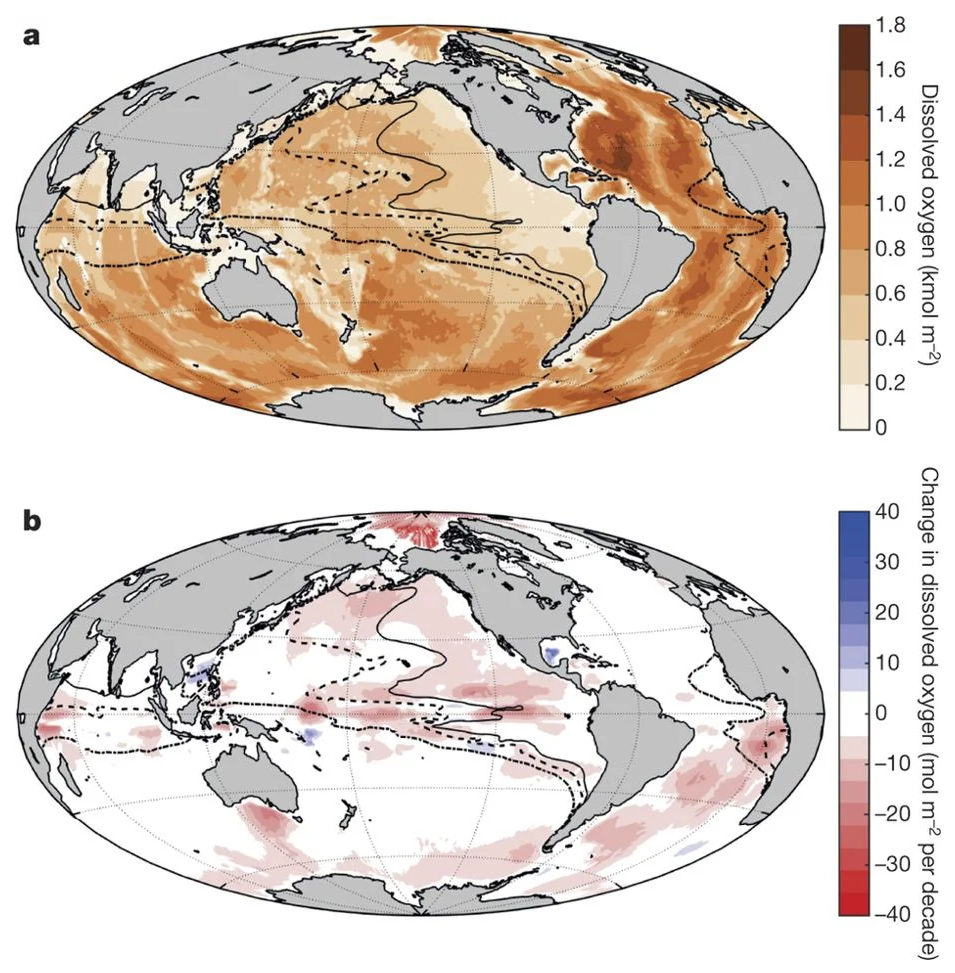 A map showing levels of dissolved oxygen in the global oceans (a) and how oxygen levels have declined or risen per decade (b). Graphic: Schmidtko, et al., 2017 / Nature