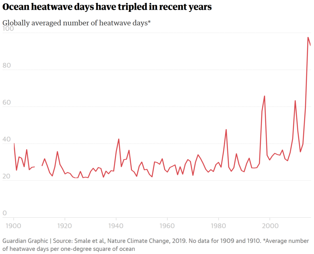 Globally averaged time series of the annual number of marine heatwave (MHW) days, 1900-2016. Data: Smale, et al., 2019 / Nature Climate Change. Graphic: The Guardian