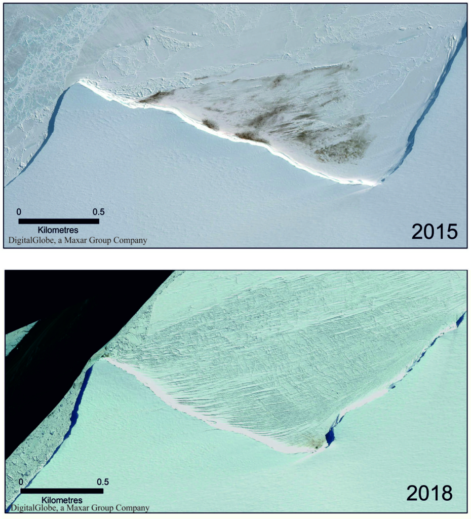 Satellite view of the decline of the Emperor penguin colony at Halley Bay, Antarctica. This satellite imagery shows the reduction in size of the Halley Bay colony in 2018 compared with 2015. The dark markings show penguin guano, and the very dense patches are the penguins themselves. The colony at Halley Bay has now all but disappeared, after three consecutive years of sea-ice break-up and the “catastrophic” loss of penguin chicks. Photo: BAS