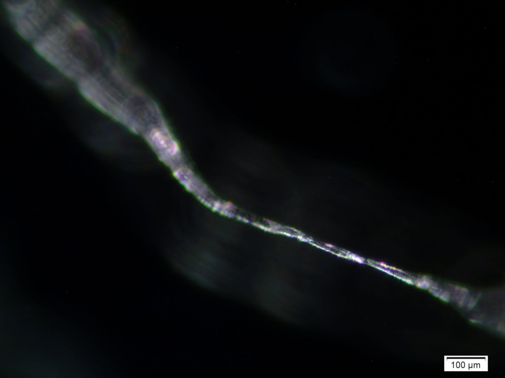 An inverse image of a plastic fibre. Microplastics can travel through the atmosphere and end up in regions far from their original emission source. Photo: Allen, et al., 2019 / Nature Geoscience