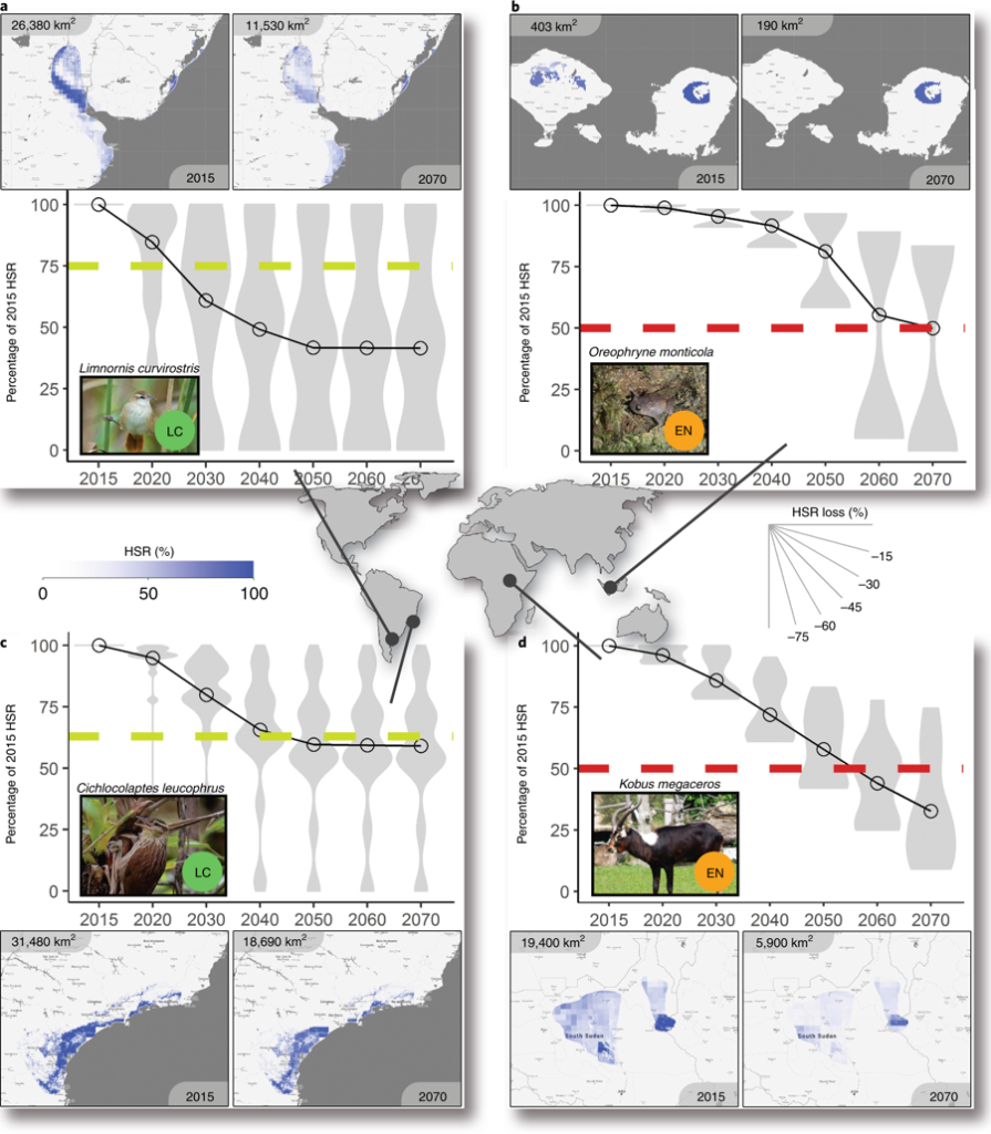 Projected land-use change effects on habitat-suitable range (HSR) of example species under projected harmonized land-use change, 2015-2070. Graphic: Powers and Jetz, 2019 / Nature Climate Change﻿
