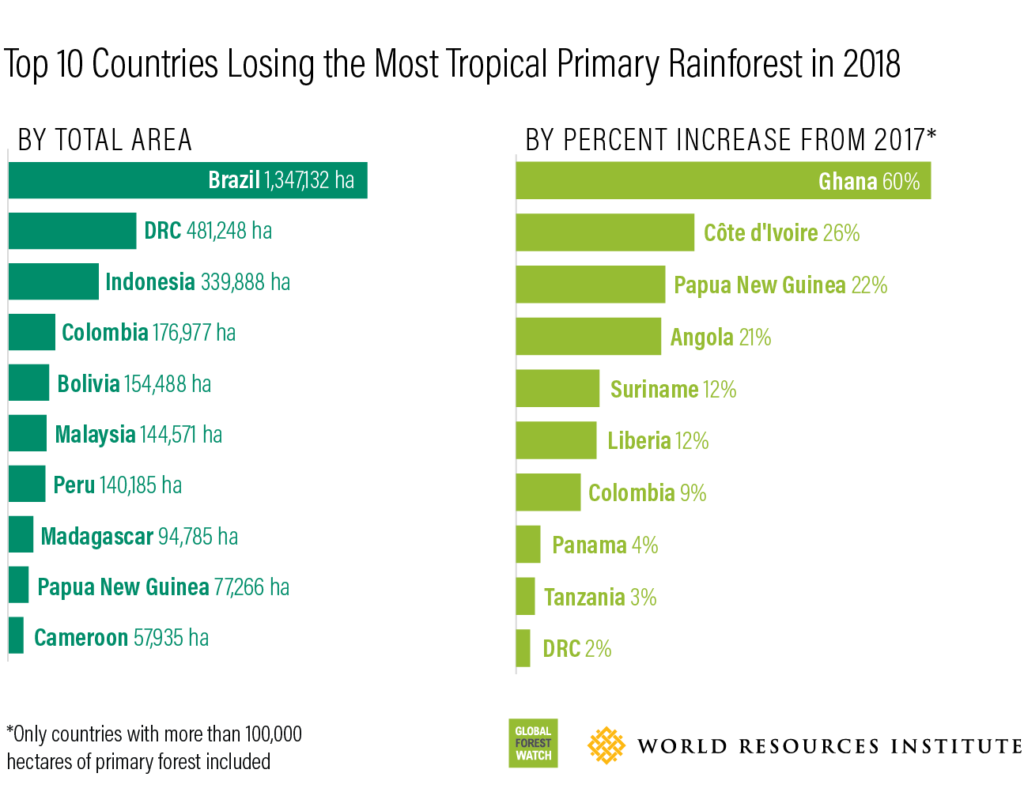 Top ten countries losing the most tropical tropical primary rainforest in 2018. Graphic: WRI /  
Global Forest Watch