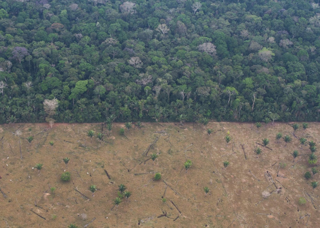 Aerial view of a boundary of Uru-Eu-Wau-Wau territory in Rondônia state, Brazil. Where traditional lands of Indigenous peoples are primary forests, the legal recognition of Indigenous territories can play a protective role against deforestation. Photo: Gabriel Uchida / Amnesty International
