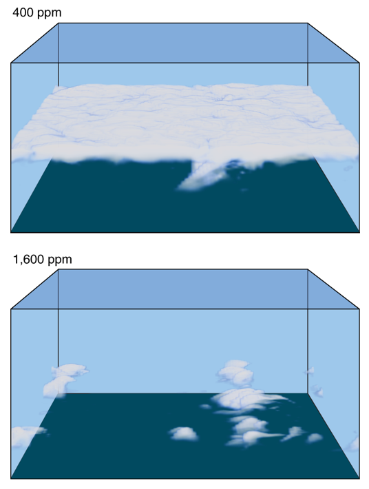 Clouds in the subtropical LES domain at different CO2 levels. Graphic: Schneider, et al., 2019 / Nature Geoscience