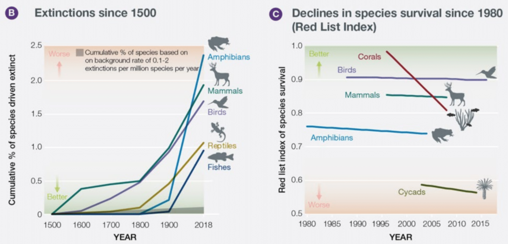 A substantial proportion of assessed species are threatened with extinction and overall trends are deteriorating, with extinction rates increasing sharply in the past century. (B) Extinctions since 1500 for vertebrate groups. Rates for Reptiles and Fishes have not been assessed for all species. (C) Red List Index of species survival for taxonomic groups that have been assessed for the IUCN Red List at least twice. A value of 1 is equivalent to all species being categorized as Least Concern; a value of zero is equivalent to all species being classified as Extinct. Data: www.iucnredlist.org. Graphic: IPBES