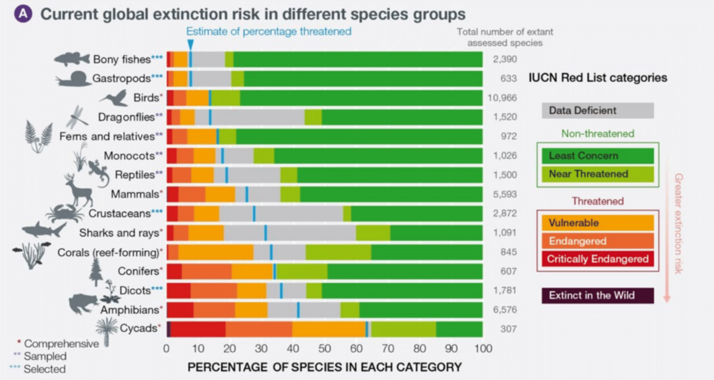 A substantial proportion of assessed species are threatened with extinction and overall trends are deteriorating, with extinction rates increasing sharply in the past century. (A) Percentage of species threatened with extinction in taxonomic groups that have been assessed comprehensively, or through a ‘sampled’ approach, or for which selected subsets have been assessed,by the International Union for Conservation of Nature (IUCN) Red List of Threatened Species. Groups are ordered according to the best estimate for the percentage of extant species considered threatened (shown by the vertical blue lines), assuming that data deficient species are as threatened as non-data
 deficient species. Data: www.iucnredlist.org. Graphic: IPBES