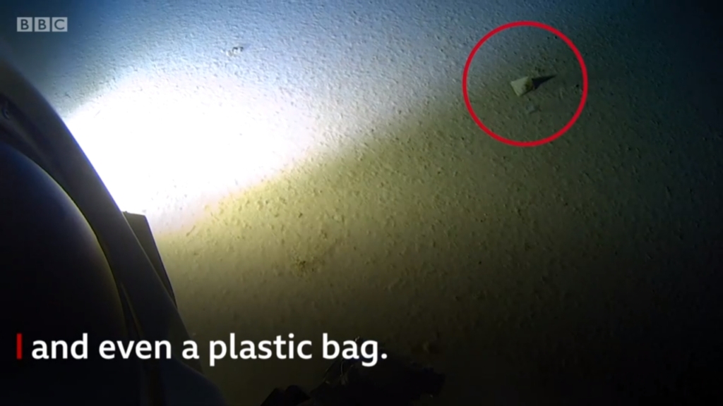 Screenshot from a video showing a plastic bag on the seafloor of the Pacific Ocean's Mariana Trench, taken during a record-breaking submersible dive on 13 May 2019. Photo: Atlantic Productions / Discovery Channel