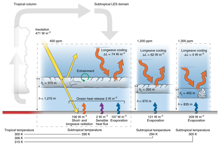 Simulated subtropical clouds in the present climate (400 ppm CO2), at higher CO2 (1,200 ppm) and after stratocumulus breakup (1,300 ppm). Graphic: Schneider, et al., 2019 / Nature Geoscience