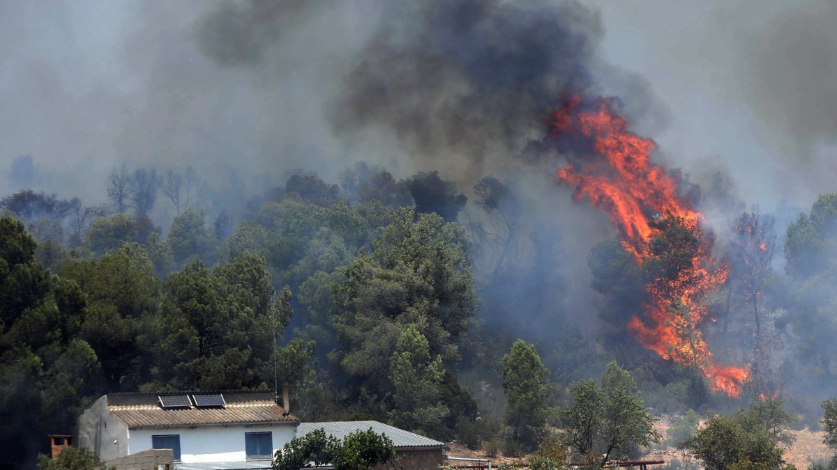 A forest fire in Tarragona, Spain, southwest of Barcelona, on 27 June 2019. Photo: Jaume Sellart / EPA / Shutterstock