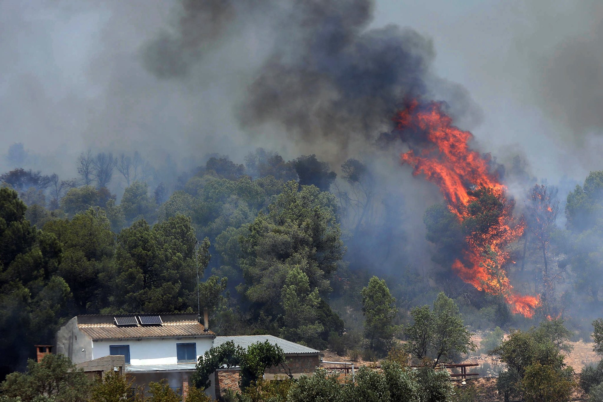 A forest fire in Tarragona, Spain, southwest of Barcelona, on 27 June 2019. Photo: Jaume Sellart / EPA / Shutterstock