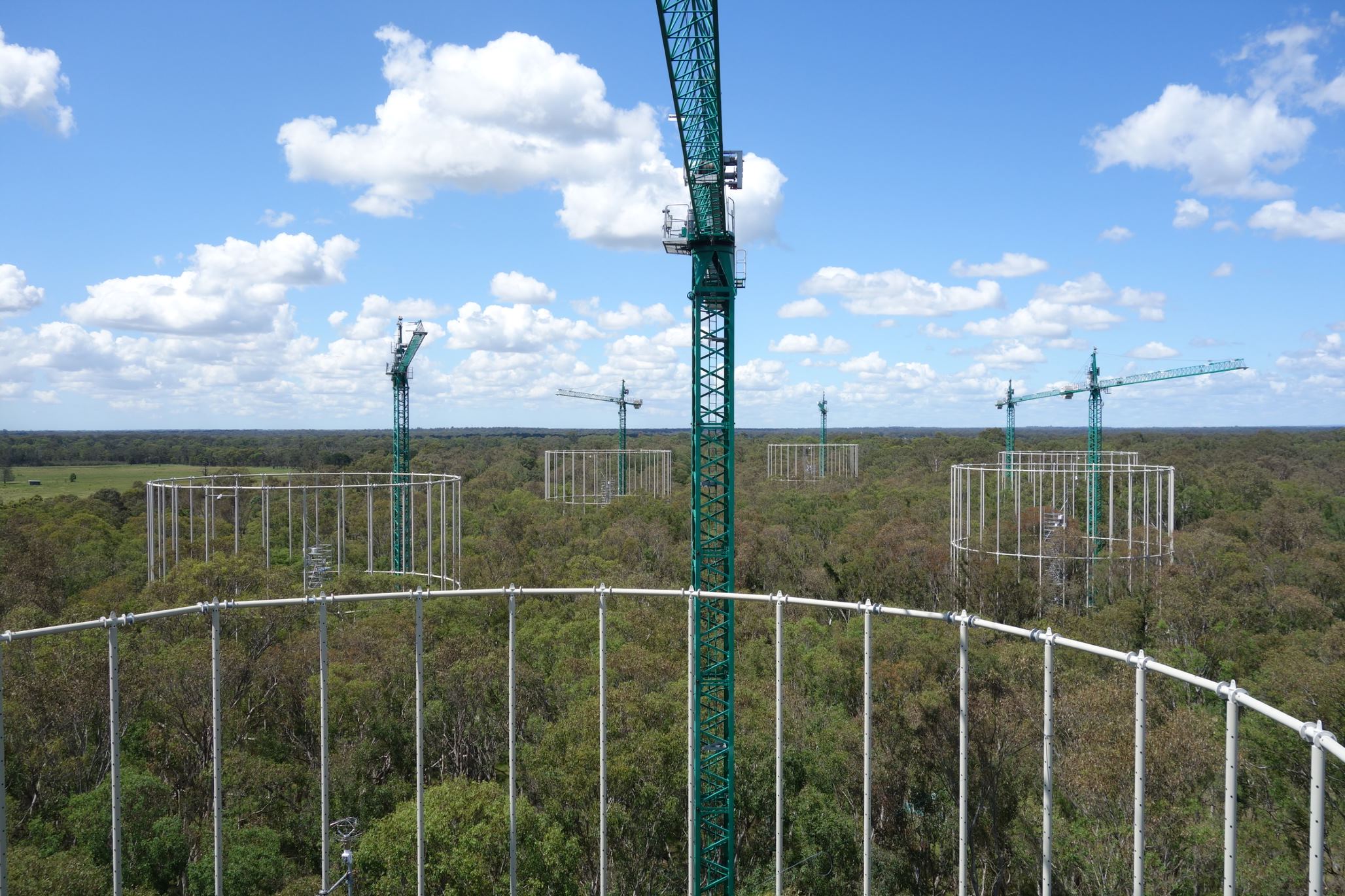 Free air CO2 enrichment experiments using native Australian forests. Elevated CO2 levels are used to examine the effects on native forests, animals, soils and grasses. Photo: Western Sydney University