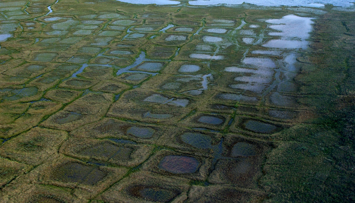 Permafrost forms a grid-like pattern in the National Petroleum Reserve-Alaska in Alpine, Alaska, a 22.8 million acre region managed by the Bureau of Land Management on Alaska's North Slope. USGS has periodically assessed oil and gas resource potential there. Photo: David Houseknecht / USGS