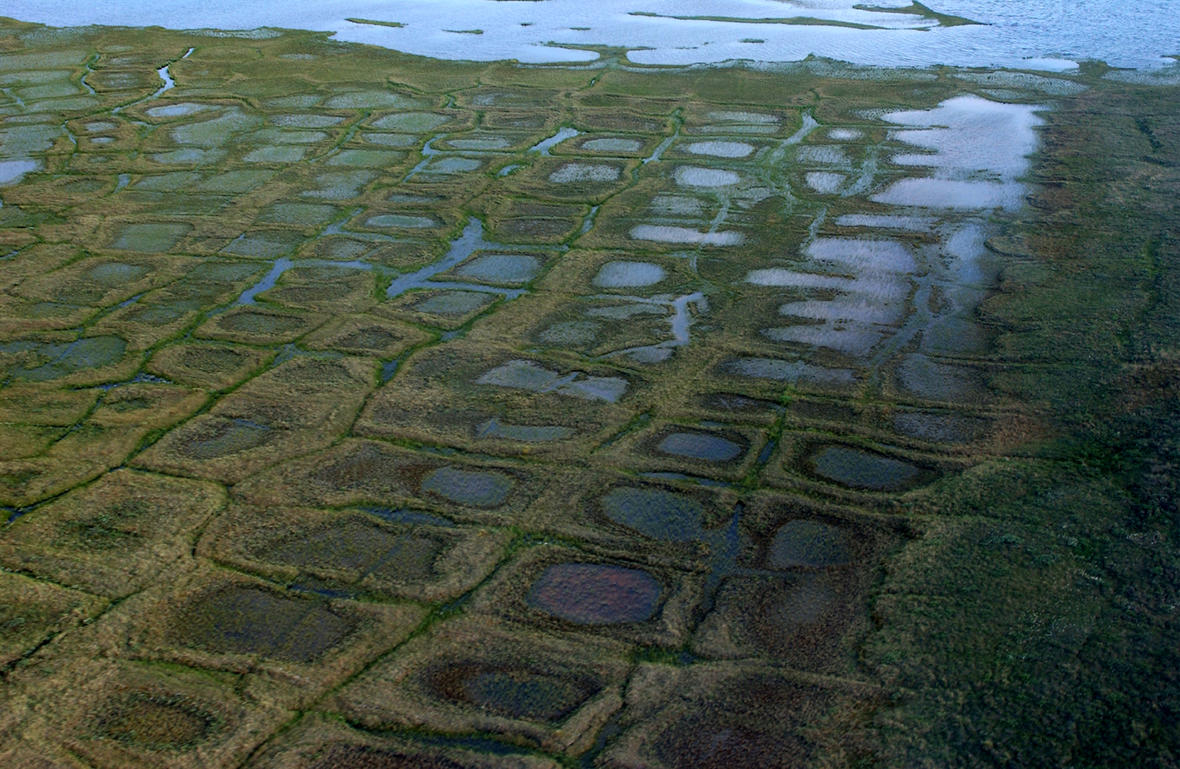 Permafrost forms a grid-like pattern in the National Petroleum Reserve-Alaska in Alpine, Alaska, a 22.8 million acre region managed by the Bureau of Land Management on Alaska's North Slope. USGS has periodically assessed oil and gas resource potential there. Photo: David Houseknecht / USGS