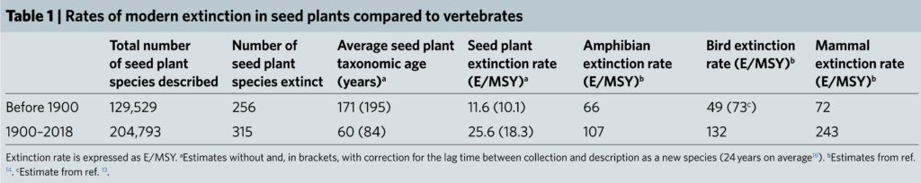 Rates of modern extinction in seed plants compared to vertebrates. Extinction rate is expressed as extinctions per million species years (E/MSY). Estimates without and, in brackets, with correction for the lag time between collection and description as a new species (24 years on average). Graphic: Humphreys, et al., 2019 / Nature Ecology & Evolution