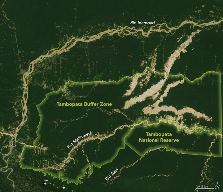 Satellite view of forest loss in the Madre de Dios region of southeastern Peru, on 6 September 2018 NASA. Photo: Earth Observatory