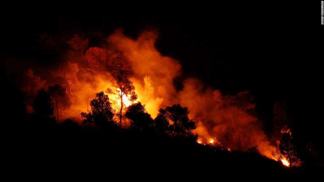 Trees burn at night during a forest fire near Maials, west of Tarragona, Spain, 27 June 2019 Photo: Albert Gea / REUTERS