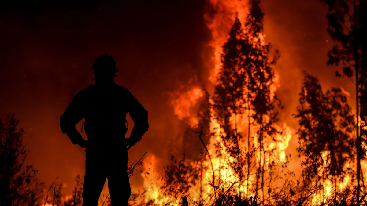 A firefighter monitors the progression of a wildfire at Amendoa, in Macao, Portugal, on 21 July 2019. Photo: Patricia De Melo Moreira / AFP / Getty