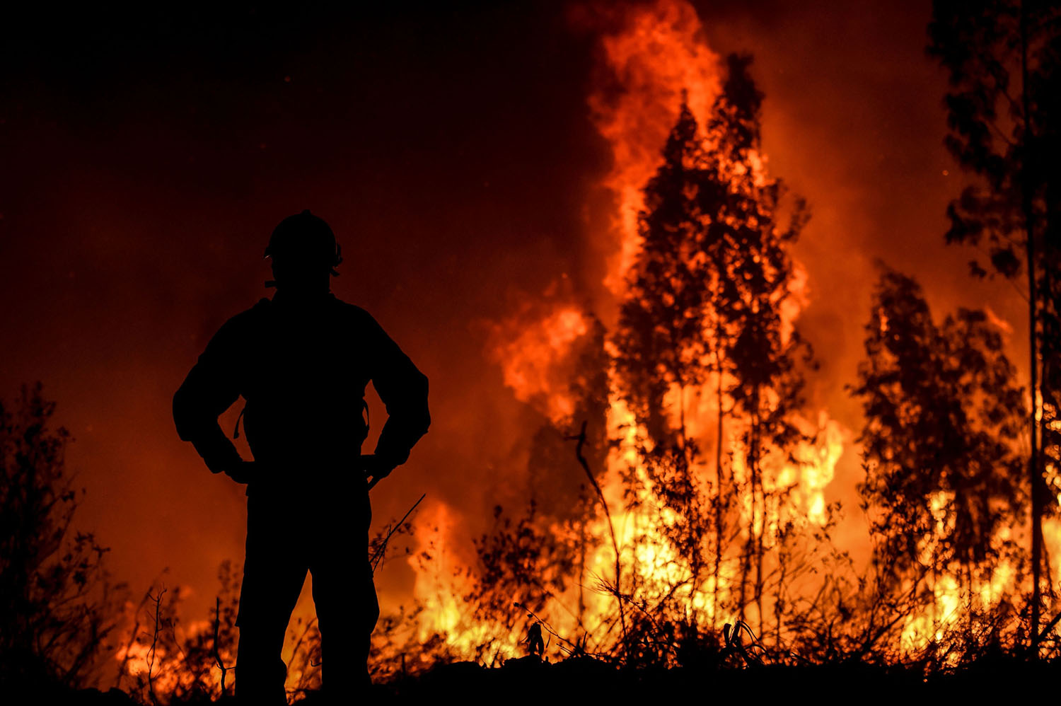 A firefighter monitors the progression of a wildfire at Amendoa, in Macao, Portugal, on 21 July 2019. Photo: Patricia De Melo Moreira / AFP / Getty
