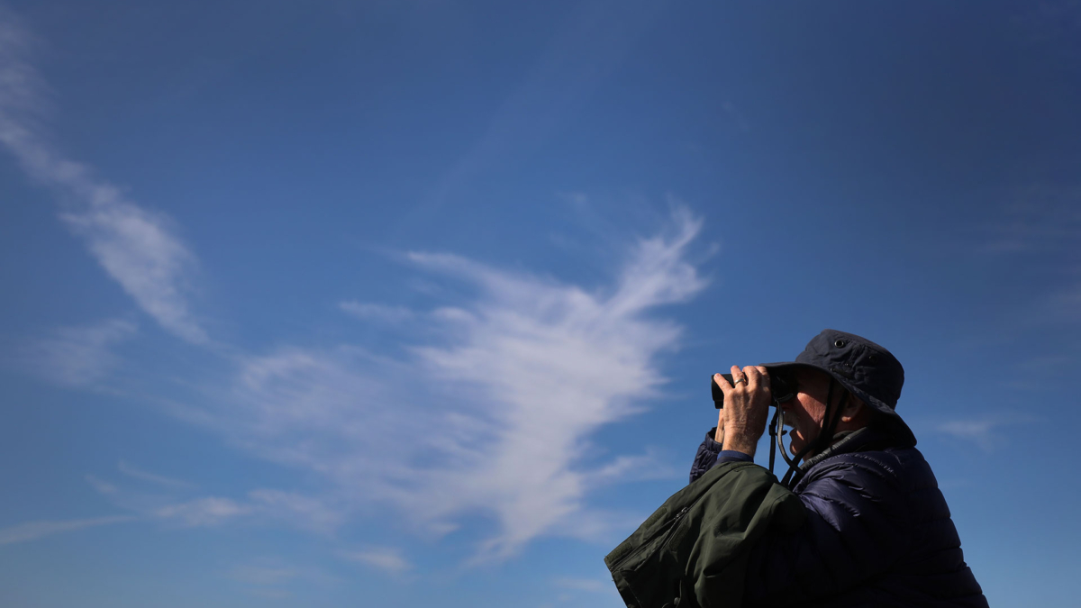 A member of the Cloud Appreciation Society spies a prime example of Cirrus, nature’s most ethereal cloud, on the Lundy, England expedition. Photo: Phil Noble / Reuters