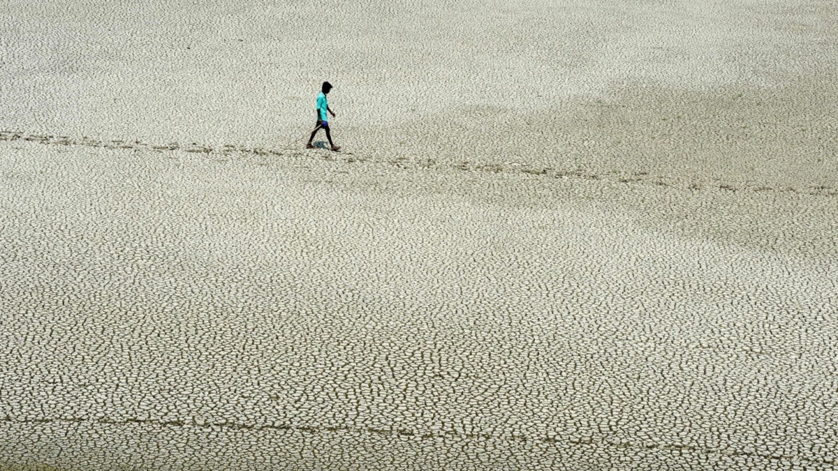 A young man looks for mud crabs and snakehead fish as he walks on the parched bed of Chembarambakkam Lake, on the outskirts of Chennai, on 21 May 2019. Photo: Arun Sankar / AFP / Getty Images