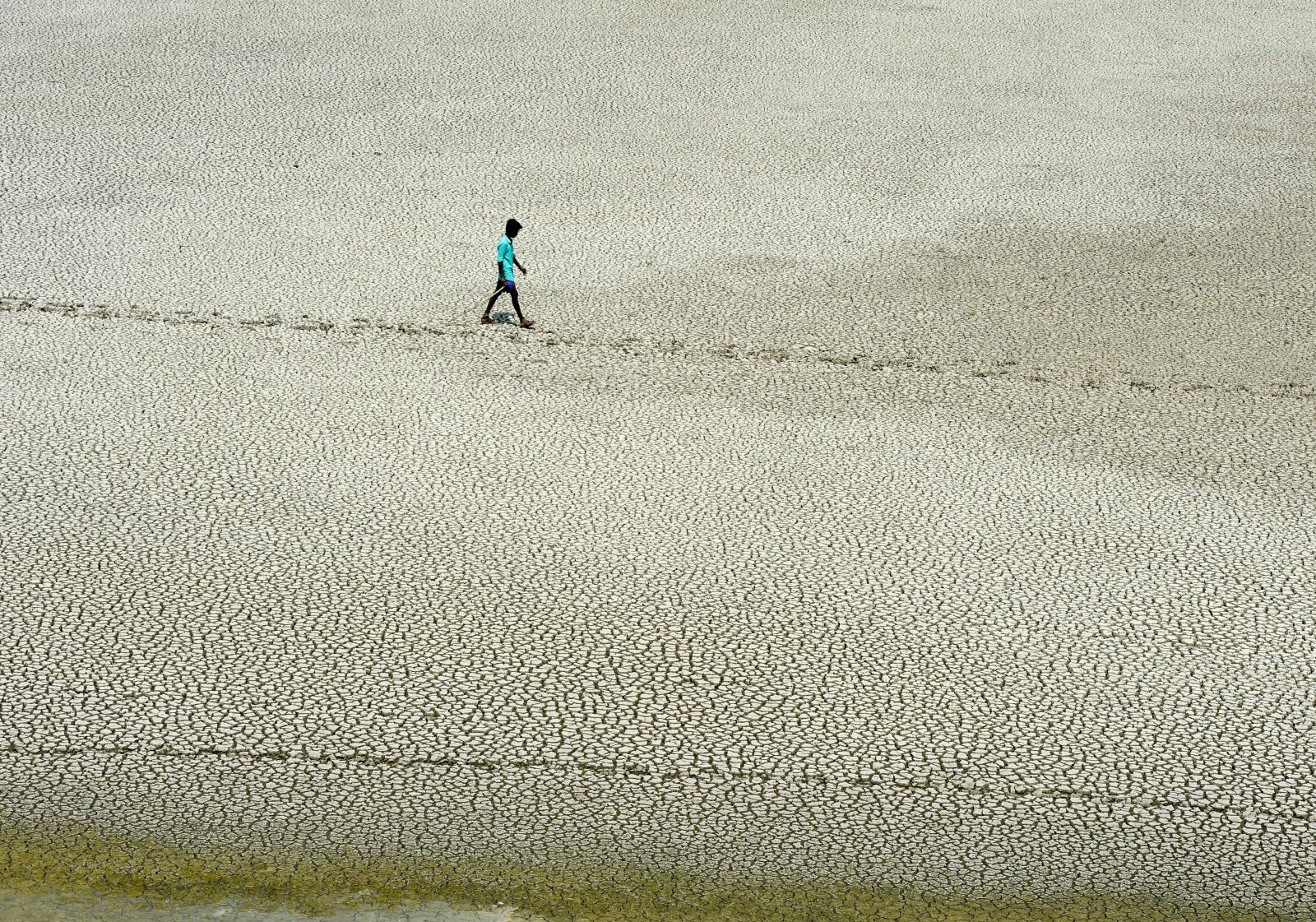 A young man looks for mud crabs and snakehead fish as he walks on the parched bed of Chembarambakkam Lake, on the outskirts of Chennai, on 21 May 2019. Photo: Arun Sankar / AFP / Getty Images
