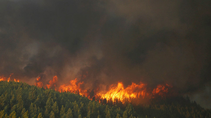 Aerial view of forest fire burning near Evenkia, Siberia in July 2019. Photo: The Siberian Times