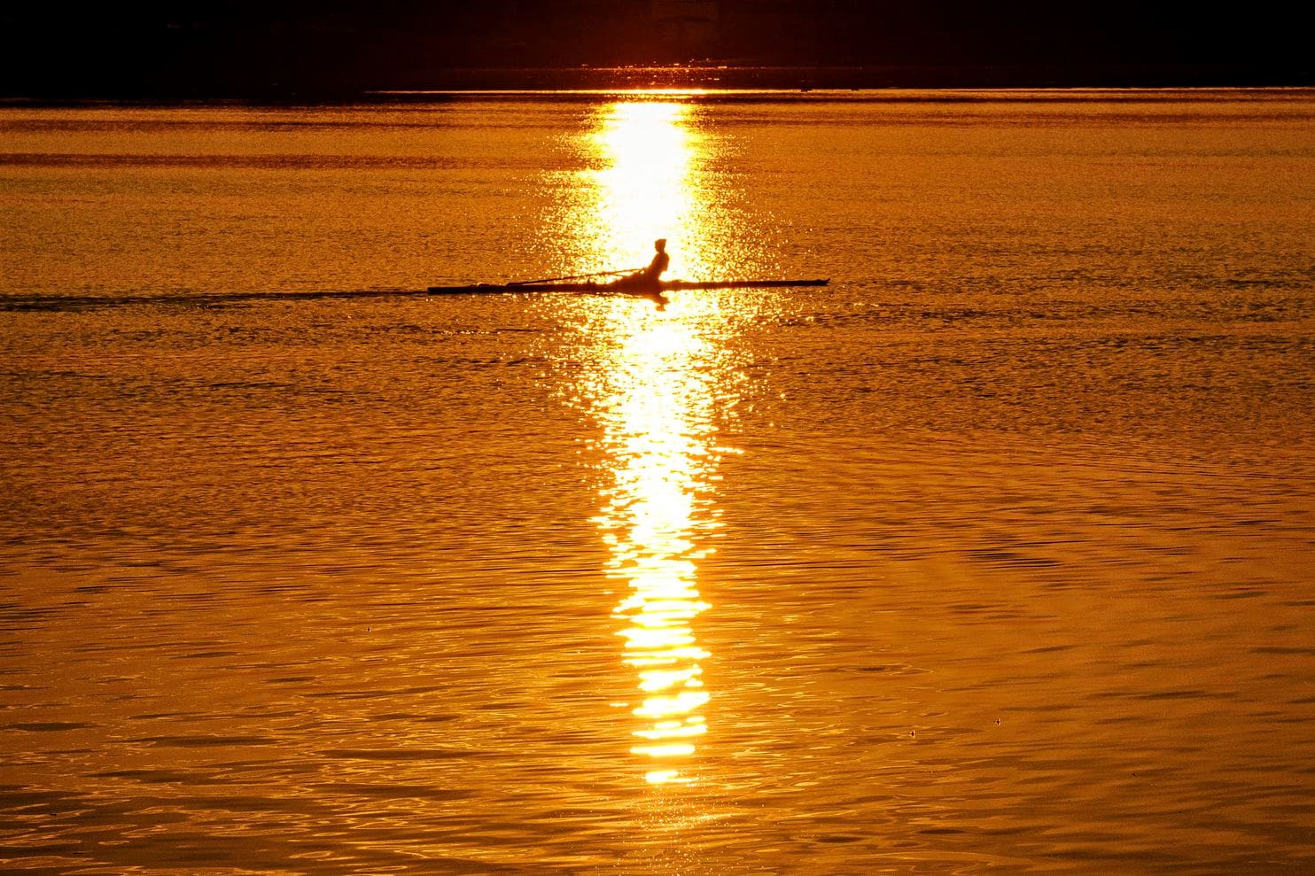 An early morning rower glides through the glare of the rising sun on the Potomac River on Saturday, 20 July 2019. The Potomac River, which flows through the U.S. capital Washington, D.C., hit a record high temperature of 94 degrees Fahrenheit (34 degrees Celsius) over the weekend following a major heat wave. Photo: J. David Ake / AP