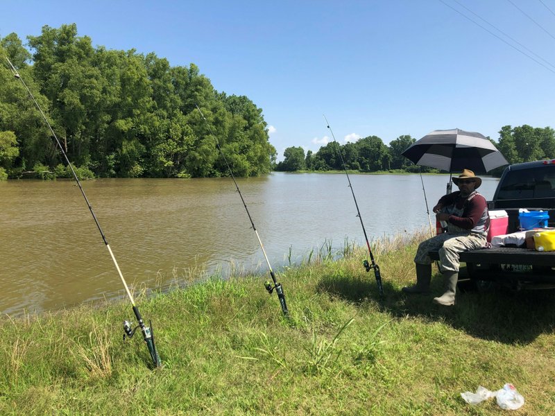 Derrick Currie sits near fishing lines he cast into flooded farmland on Tuesday, 2 July 2019 in Ripley, Tennessee. He says he feels sorry for the farmers, but he jumps at the chance to fish the flooded land. Still, he does not recall flood waters being this high for this long - since February, he says. “You can’t get to the river, so you have to fish the backwaters,” said Currie, 52. Officials say water from the bulging Mississippi River has flooded thousands of acres of farmland in west Tennessee. Photo: Adrian Sainz / AP Photo
