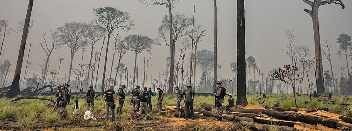 IBAMA environmental agency agents investigate illegal deforestation in Jamanxim National Forest in Pará state, Brazil. Photo: Mongabay