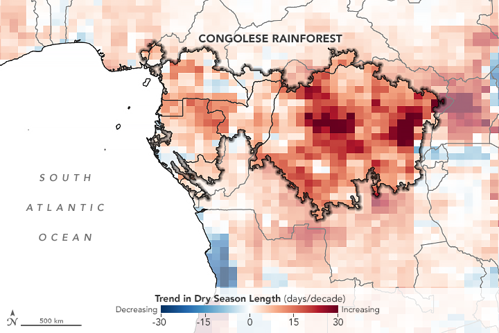 The summer dry season in the Congolese rainforest of central Africa is growing longer. The widespread lengthening of the dry season is visible in this map, which shows the number of days per decade by which the dry season has grown longer (red) or shorter (blue) between 1980 and 2015. It is based on analysis of NASA’s MERRA-2 precipitation dataset of the Global Modeling and Assimilation Office (GMAO). Within the rainforest boundaries the dry season has lengthened by about 10 days per decade. Similar changes were also observed in other precipitation and satellite-based vegetation datasets. Graphic: NASA Earth Observatory


