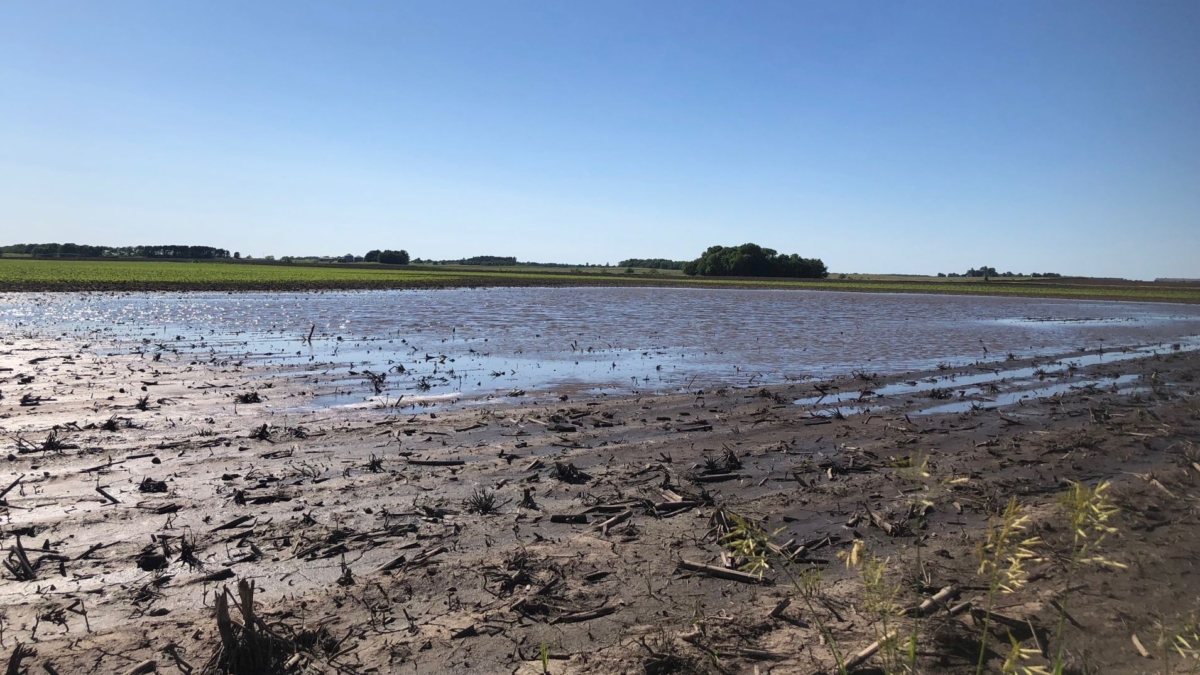 Puddles are seen in farm fields as heavy rains caused unprecedented delays in U.S. corn planting in the spring of 2019, near Sheffield, Illinois, 13 June 2019. Photo: Tom Polansek / REUTERS
