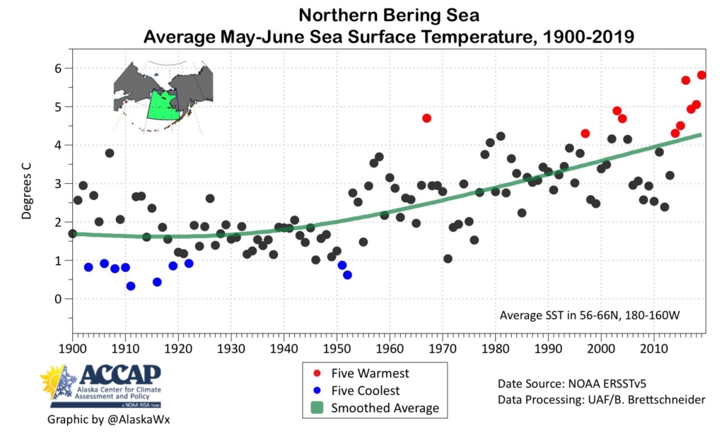 Northern Bering Sea average may-June sea surface temperature, 1900-2019. The northern Bering Sea near Alaska during May and June has never been warmer than this year, on 3 July 2019. Six of the ten warmest May-Junes in the past 120 years have been the past six years. Community and ecosystem impacts continue. Data: ACCAP. Graphic: AlaskaWx