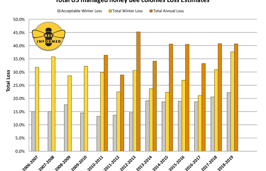 Total U.S. managed honey bee colonies loss estimates 2006-2019. For the entire survey period (1 April 2018 – 1 April 2019), beekeepers in the U.S. lost an estimated 40.7 percent of their managed honey bee colonies. This is similar to last year’s annual loss estimate of 40.1 percent, but slightly higher (2.9 percentage points) than the average annual rate of loss reported by beekeepers since 2010-11 (37.8 percent). Graphic: Bee Informed