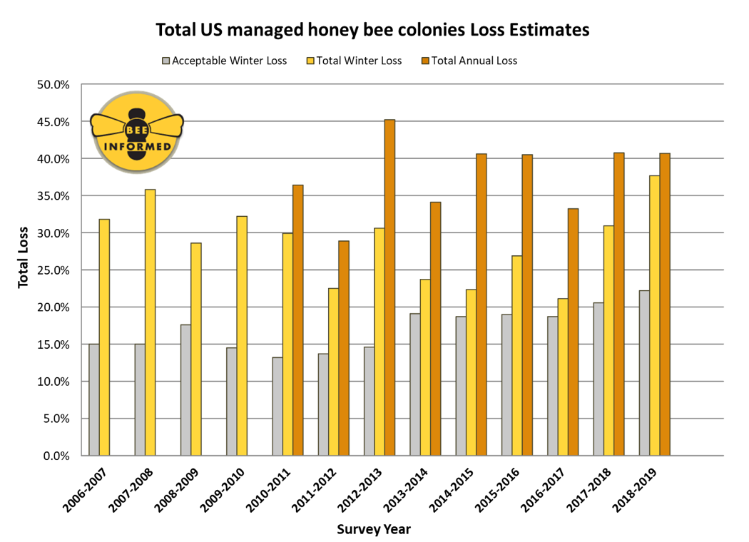 Total U.S. managed honey bee colonies loss estimates 2006-2019. For the entire survey period (1 April 2018 – 1 April 2019), beekeepers in the U.S. lost an estimated 40.7 percent of their managed honey bee colonies. This is similar to last year’s annual loss estimate of 40.1 percent, but slightly higher (2.9 percentage points) than the average annual rate of loss reported by beekeepers since 2010-11 (37.8 percent). Graphic: Bee Informed