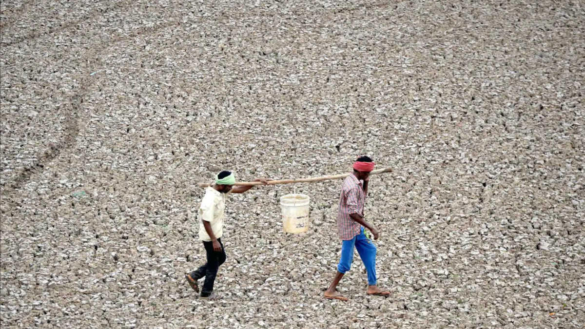 Workers carry the last bucketful of water from a small pond in the dried-out Puzhal reservoir on the outskirts of the Indian city of Chennai. Photo: Arun Sankar/ AFP / Getty Images