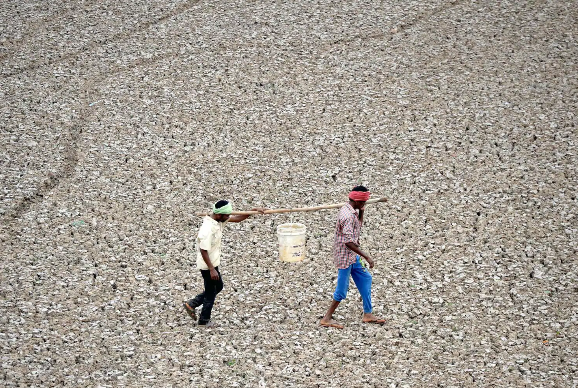 Workers carry the last bucketful of water from a small pond in the dried-out Puzhal reservoir on the outskirts of the Indian city of Chennai. Photo: Arun Sankar/ AFP / Getty Images