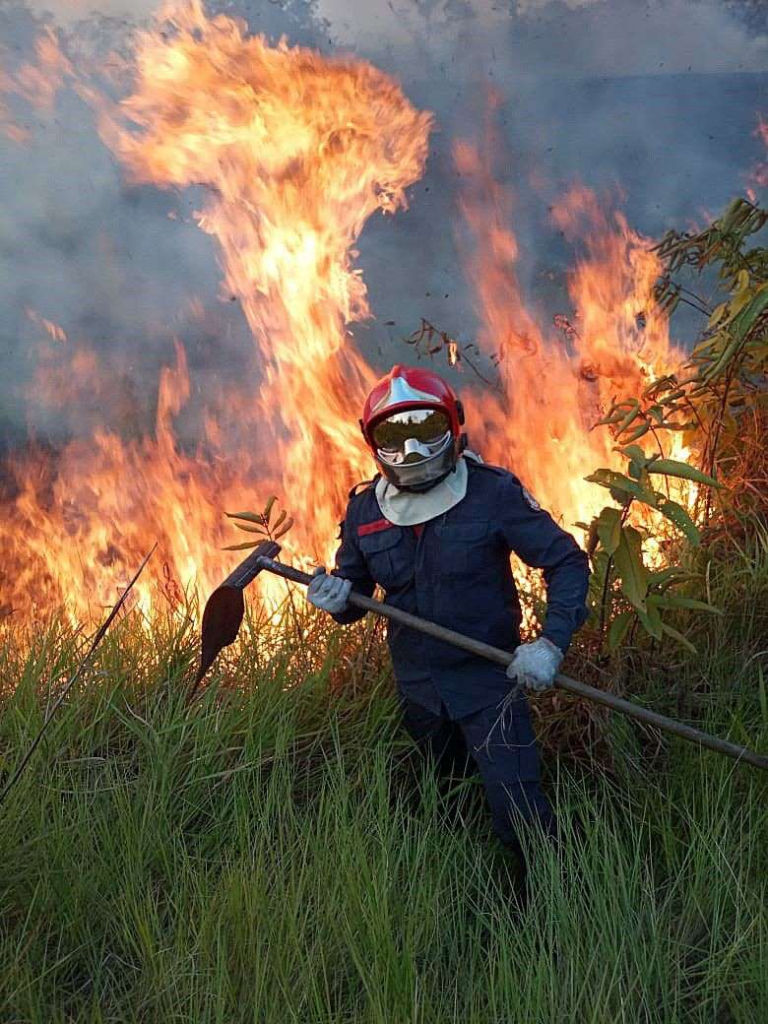 A Rio Branco fireman fights a wildfire in Rio Branco, Amazonian State of Acre, Brazil, on 17 August 2019. Photo: Rio Branco Firemen handout / EPA-EFE / Shutterstock