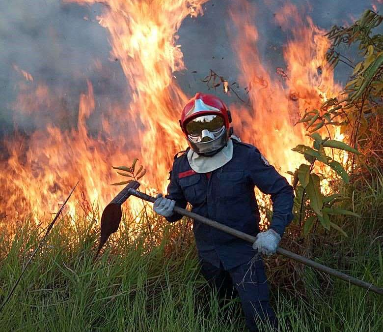 A Rio Branco fireman fights a wildfire in Rio Branco, Amazonian State of Acre, Brazil, on 17 August 2019. Photo: Rio Branco Firemen handout / EPA-EFE / Shutterstock