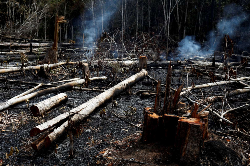 A tract of Amazon jungle burns after being cleared by loggers and farmers on 21 August 2019 in Novo Airao, Amazonas state, Brazil. Photo: Bruno Kelly / Reuters