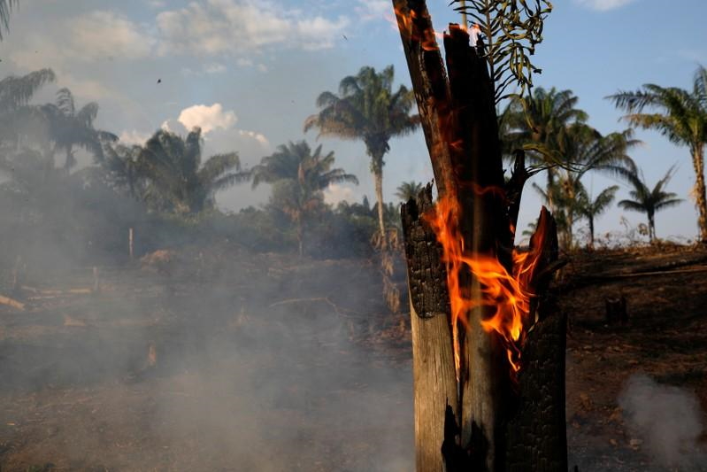 A tract of Amazon rainforest burns as it is being cleared by loggers and farmers in Iranduba, Amazonas state, Brazil on 20 August 2019. Photo: Bruno Kelly / REUTERS