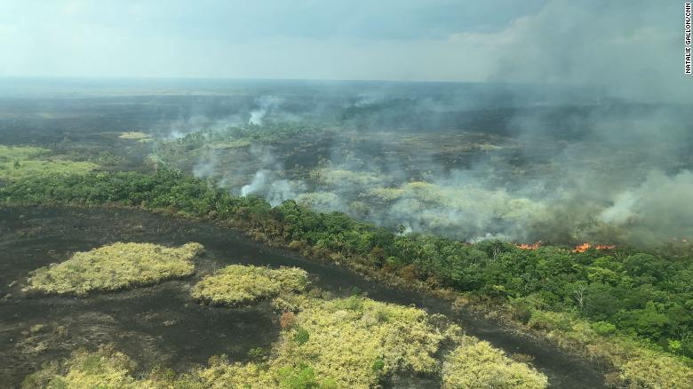 Flying Above The Amazon Fires All You Can See Is Death