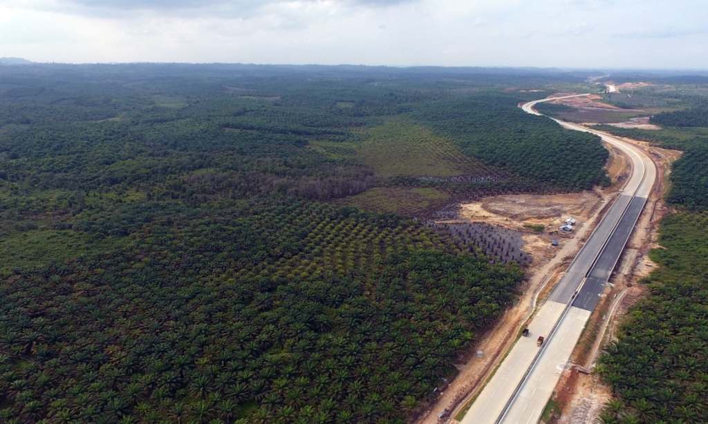 Aerial view of the area around Samboja, Kutai Kartanegara, one of two locations proposed by the government for Indonesia’s new capital. Photo: Fachmi Rachman / AFP / Getty Images