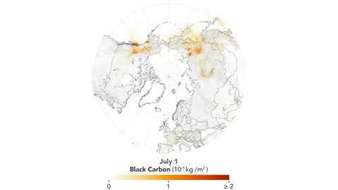 Animation showing the concentration of black carbon particulates — commonly called soot — around the Arctic from 1 July 2019 to 29 July 2019. Graphic: Lauren Dauphin / NASA Earth Observatory
