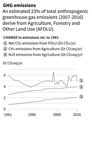 Graphs from the “Climate Change and Land 2019” report by the IPCC, showing changes relative to 1961 of greenhouse gas (GHG) emissions, world agricultural production, food demand, and desertification and land degradation. Graphic: IPCC
