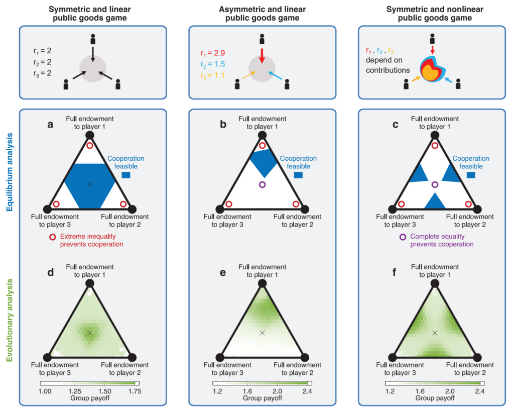 Feasibility and evolvability of cooperation in public good games among unequals. Graphic: Hauser, et al., 2019 / Nature