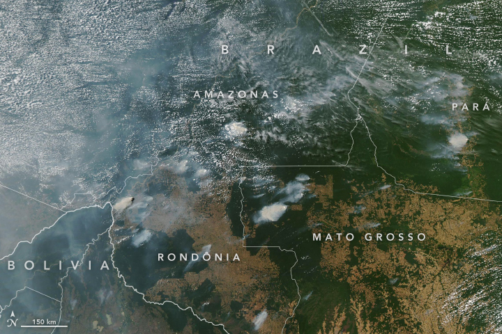 The Moderate Resolution Imaging Spectroradiometer (MODIS) on NASA’s Aqua satellite captured these images of several fires burning in the states of Rondônia, Amazonas, Pará, and Mato Grosso on 11 August 2019. Data: MODIS data from NASA EOSDIS/LANCE and GIBS/Worldview and VIIRS data from NASA EOSDIS/LANCE and GIBS/Worldview, and the Suomi National Polar-orbiting Partnership Photo: Lauren Dauphin / NASA Earth Observatory