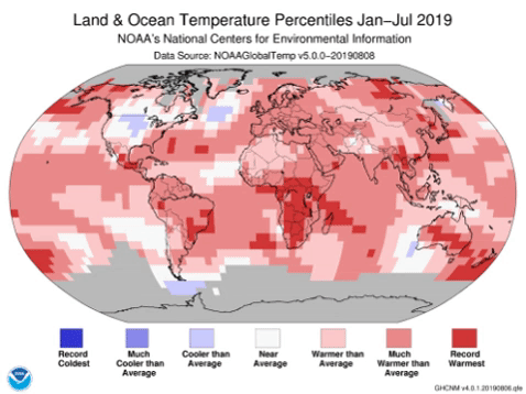 July 2019 blended land and sea surface temperature anomalies in degrees Celsius and in percentiles. Graphic: NOAA / NCEI